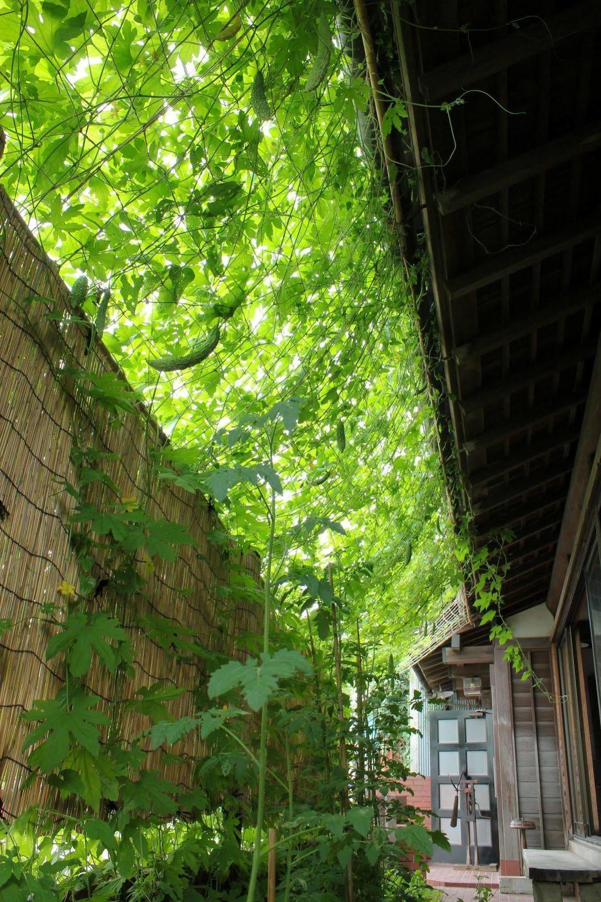 Guest House Kamejikan -Turtle Time- Kamakura Exterior photo